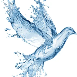 La Paloma Hot Springs &amp; Spa