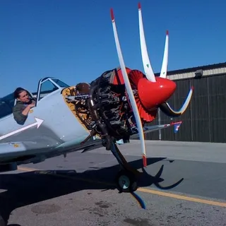 Harrier T.