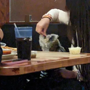 interior, sushi and sashimi