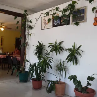 Interior o restaurant. Homey!