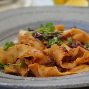 Pappardelle with short rib ragu - was supposed to have spinach ribbon pasta?