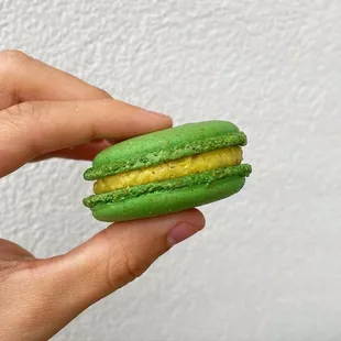 Pistachio Macaron