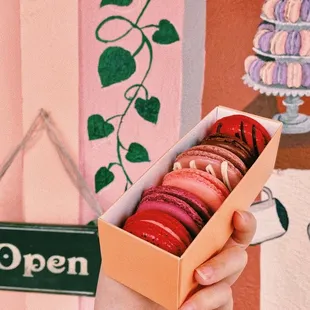 6-Pack Assorted Macarons