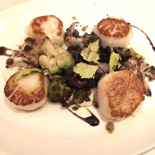 Scallops