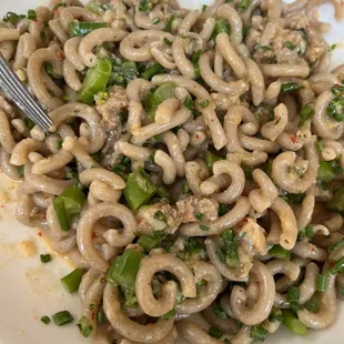 Gramigna Pasta
