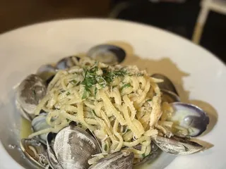 Ulivo