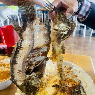 Mojarra Frita