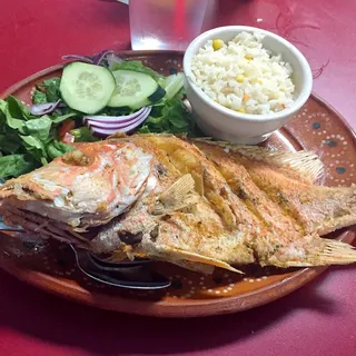 Rice
