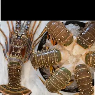 Lobster tails