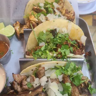 Street tacos: chicken,  chorizo,  steak