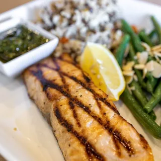 Salmon