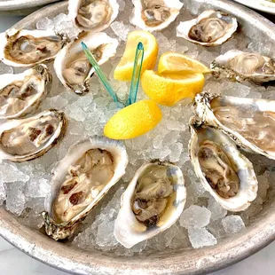 Dozen oysters for happy hour. 4/5 stars