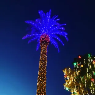 Glendale Glitters