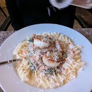 Scallops over pasta.  Perfectly prepared