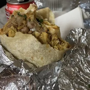 A regular Chicken burrito ft hair