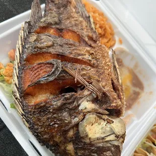 a fish in a styrofoam container