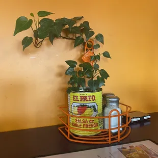 a plant in a can on a table