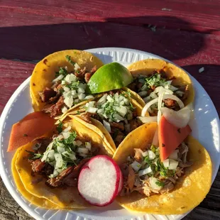 a plate of tacos on a picnic table