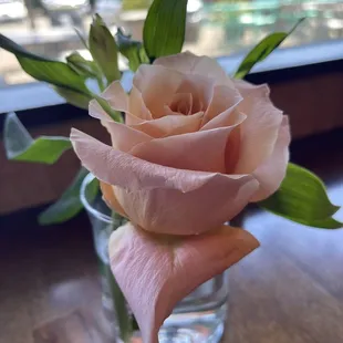 A rose is still a rose