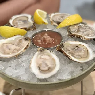 a platter of oysters