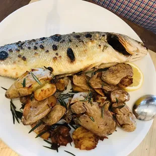 Branzino