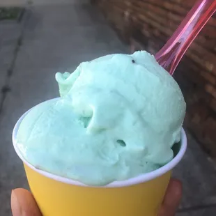 Mint chocolate gelato-$3.50 for two scoops