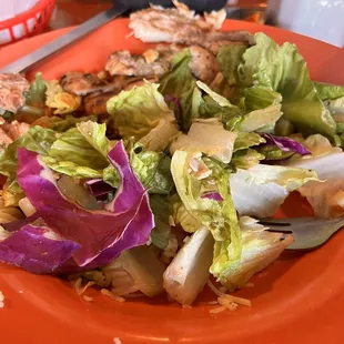 Chicken was absolutely disgusting.