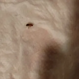 This was in my mayarita melt down !!!