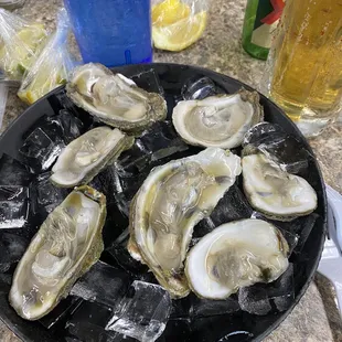 1/2 dozen raw oysters $12.99! Tasteless and some were tiny