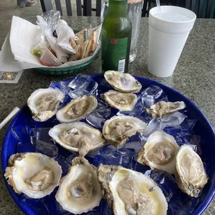 Dozen raw oysters