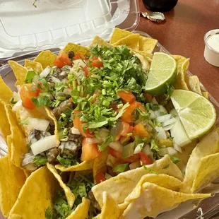 Large Carne asada nachos