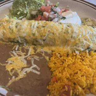 Chicken Burrito (not good)