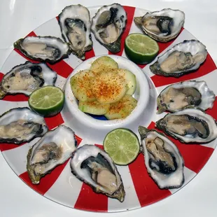 Oysters