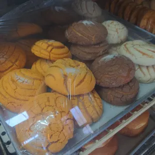 Conchas
