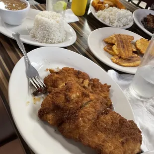 Breaded grouper filet