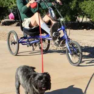 Explore our campus with your furry friends!