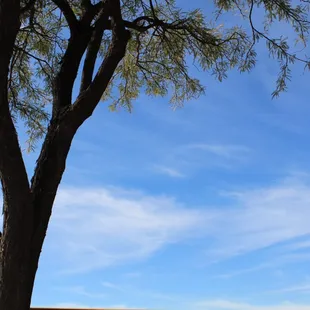 Southern Arizona winters are very mild! Our warm weather wants to make your family and friends visit you.