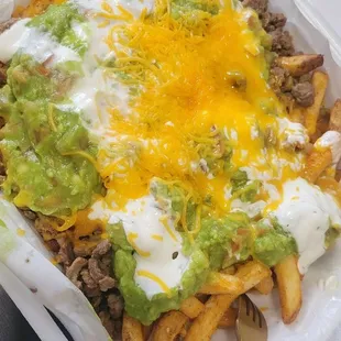 Carne Asada Fries