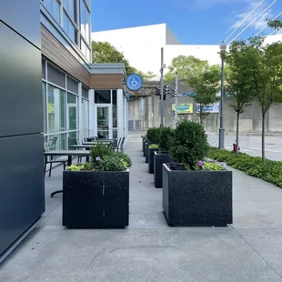 a sidewalk with planters