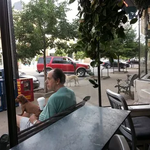 The two dogs quickly turned into 7 in a matter of minutes.