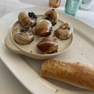 Traditional Escargot in Shell