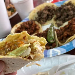 a hand holding a taco