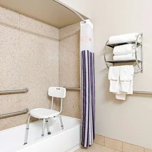 Guest room bath (accessible)