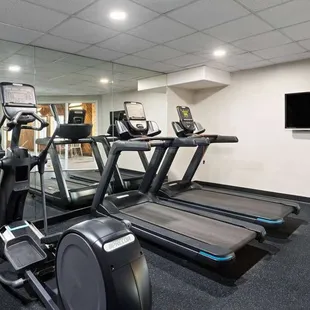 Health club  fitness center  gym