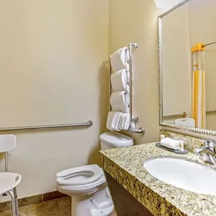 Guest room bath (accessible)