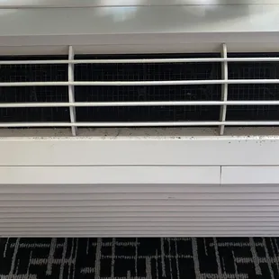 Mold in the AC
