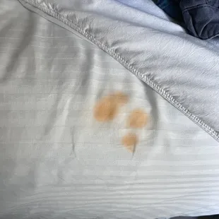 Stained Bed sheets