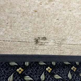 Marks and "digs" on the walls up and down the entire floor