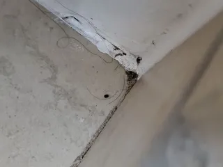 La Quinta by Wyndham Granbury