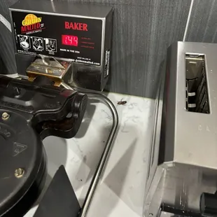 Breakfast with roaches!!